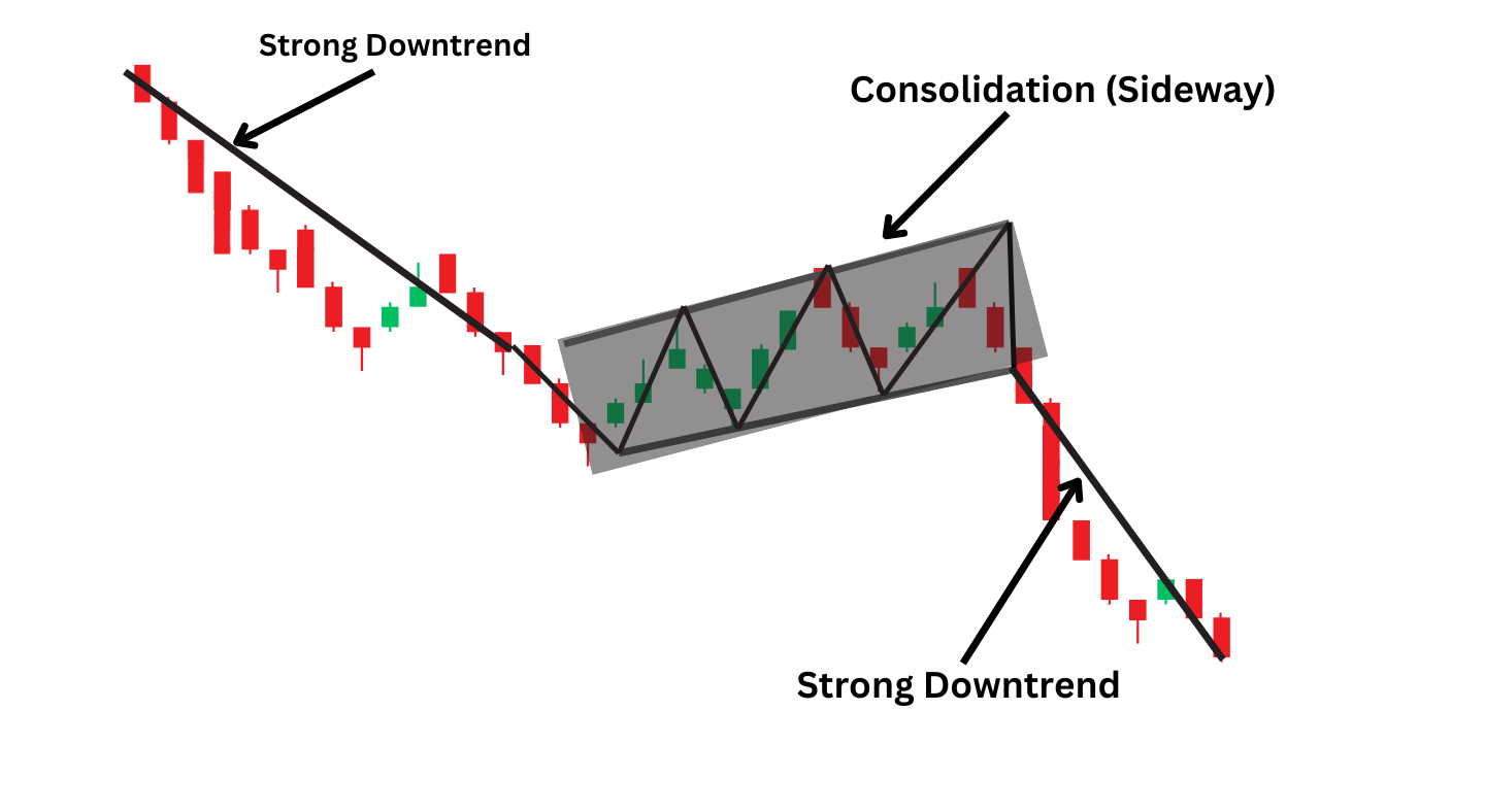 Bull and Bear Flags Explained: A Beginner's Guide image 2