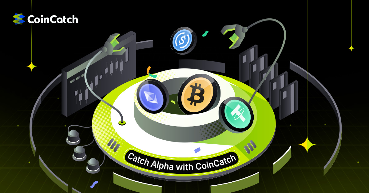 CoinCatch Futures Trading Pair Price Precision Update Notice image 0
