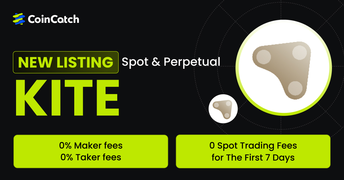 CoinCatch Weekly Market Review & Outlook (October 31–November 6) image 4