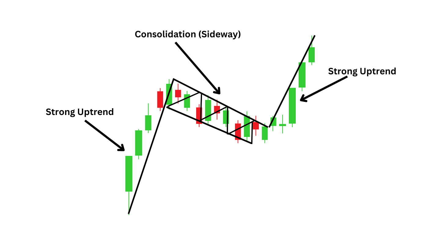 Bull and Bear Flags Explained: A Beginner's Guide image 0