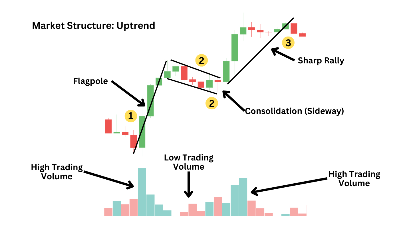 Bull and Bear Flags Explained: A Beginner's Guide image 1